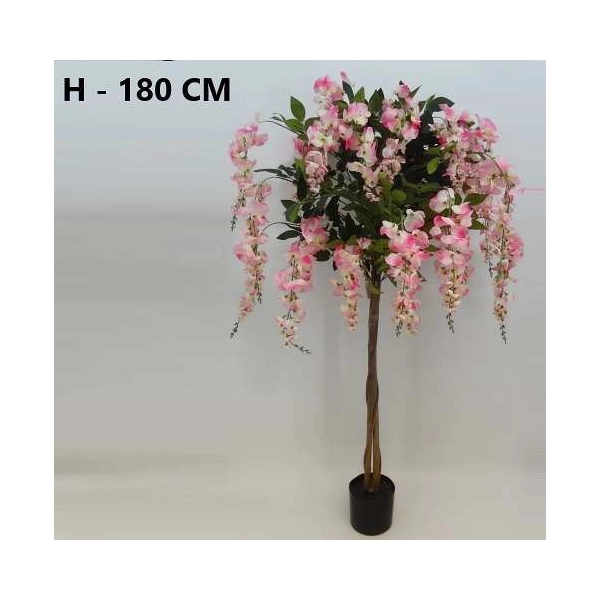 WISTERIA W DONICZCE 180CM